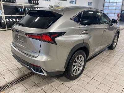 2020 Lexus NX 300h
