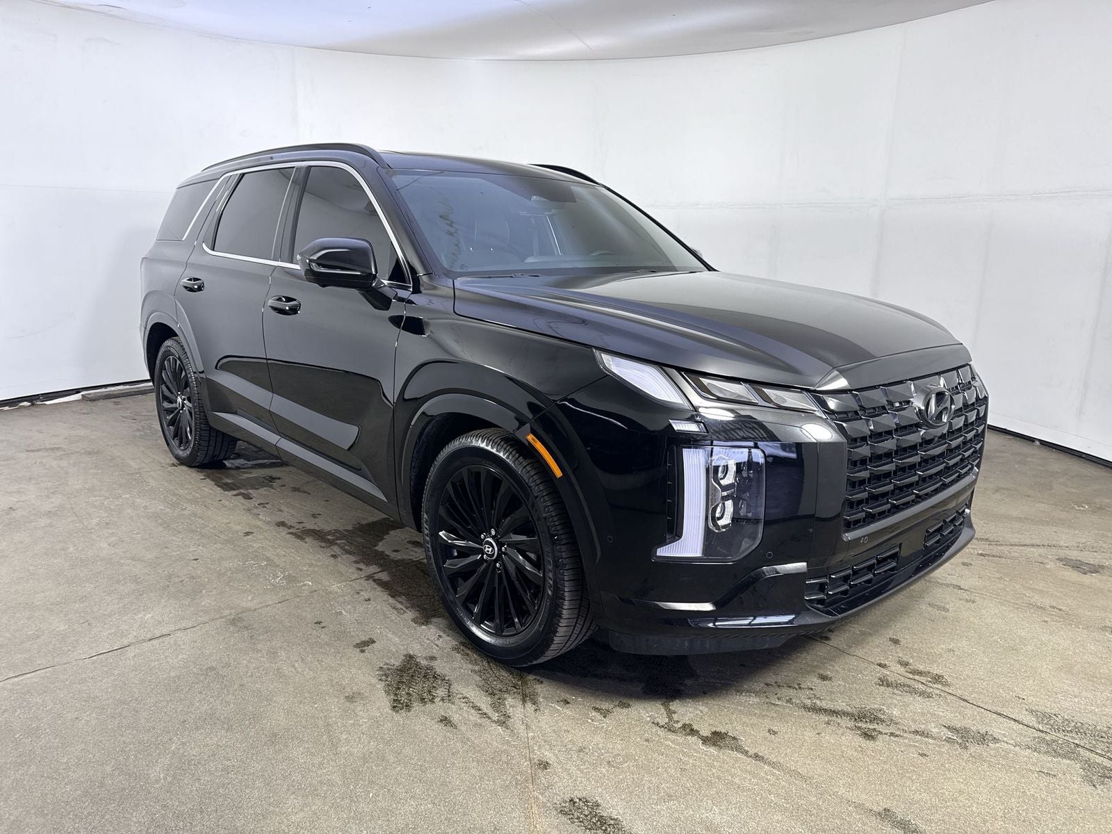 2024 Hyundai Palisade Calligraphy Night Edition