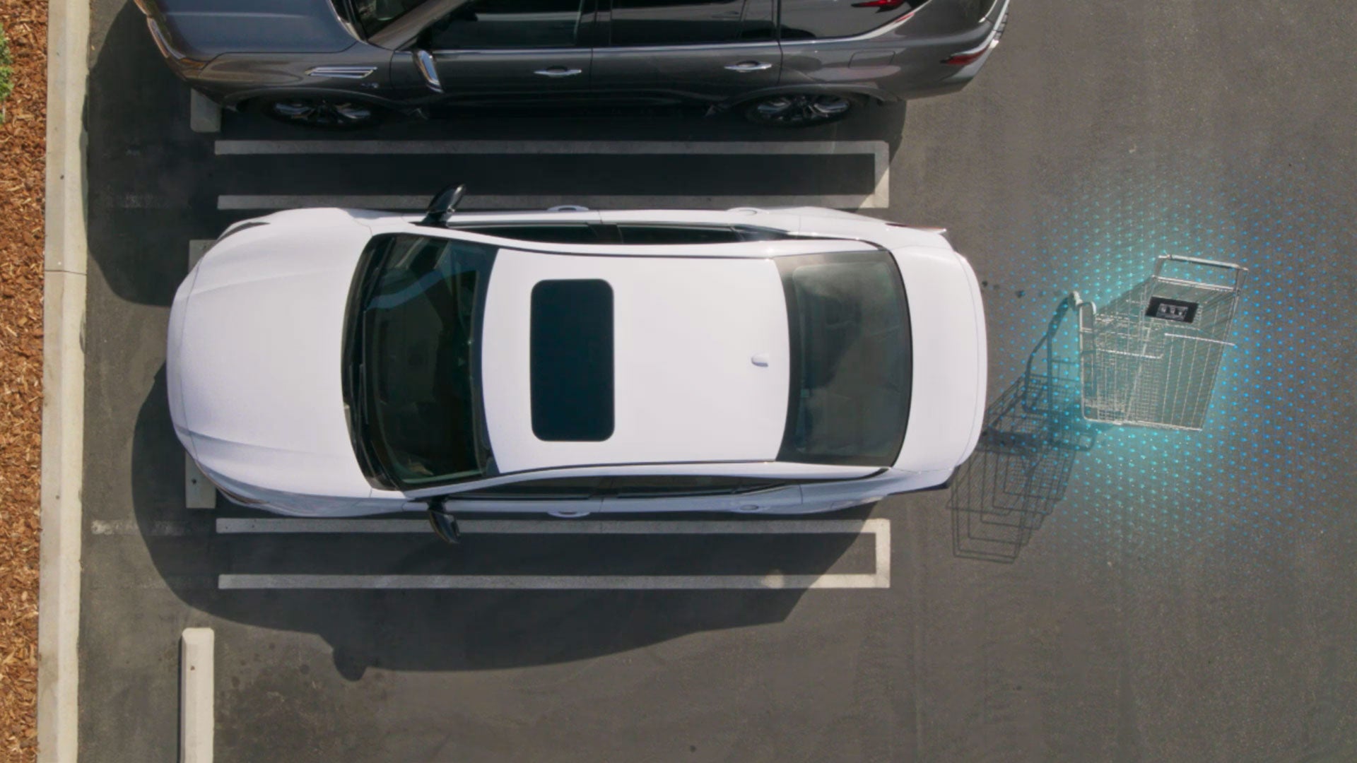 2026 Nissan Altima | Arlington Nissan in Arlington Heights, IL